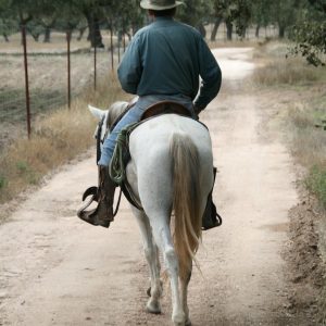 La Aldea del Cerezo