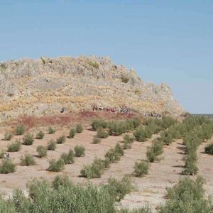 El Cerro Don Juan y Piedra Luenga en Montilla