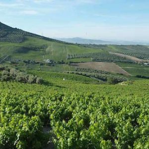 El Cerro Don Juan y Piedra Luenga en Montilla
