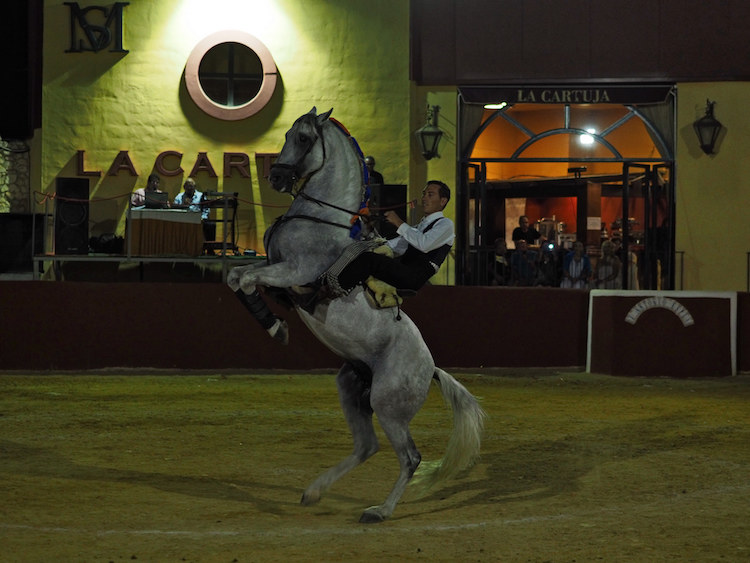 Jinete haciendo una exhibición con un caballo en andalucia