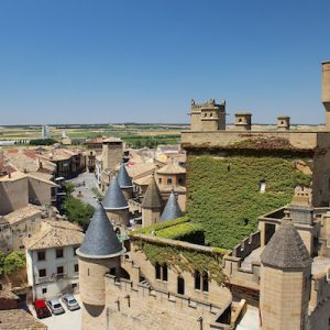 Palacio Real de Olite en Olite