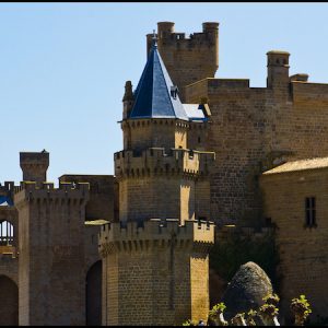 Palacio Real de Olite en Olite