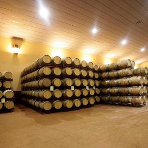 Bodegas Piedemonte en Olite