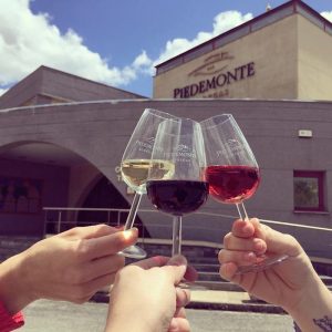 Bodegas Piedemonte en Olite