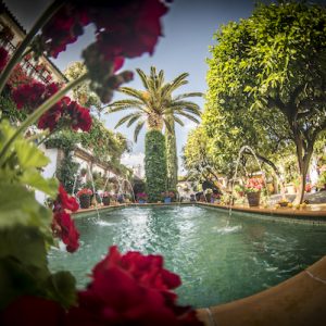Patio con Duende en Rute