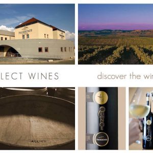 Bodegas Piedemonte en Olite