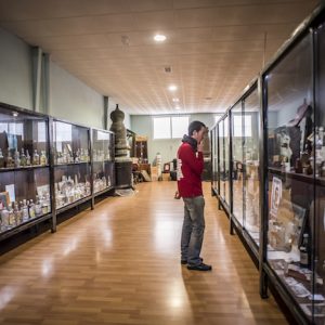 Museo del aguardiente anisado en Rute