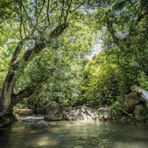 La Aldea La Hoz en Rute