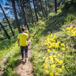 La Sierra de Rute en la provincia de Córdoba