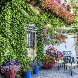 Patio con Duende en Rute