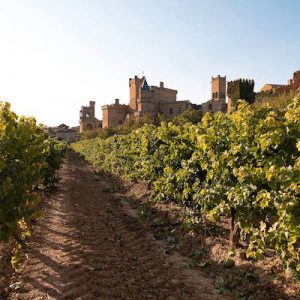 Bodegas Piedemonte en Olite