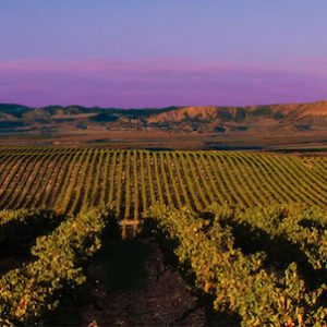 Bodegas Piedemonte en Olite