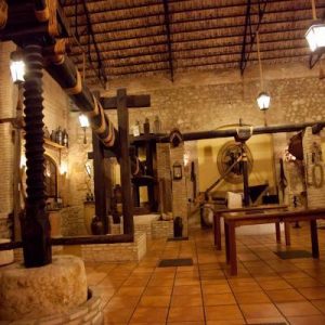 El Museo del Aceite en Cabra en Córdoba