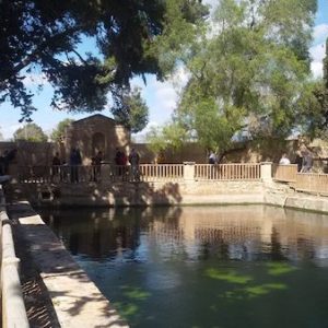 Los Jardines de Peñacerrada en Mutxamel