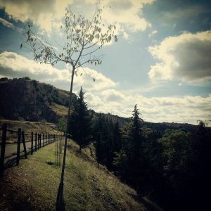 La Vía Verde en Cabra en Córdoba
