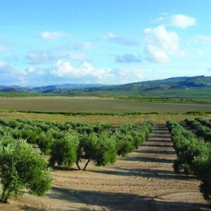 La Vía Verde en Cabra en Córdoba
