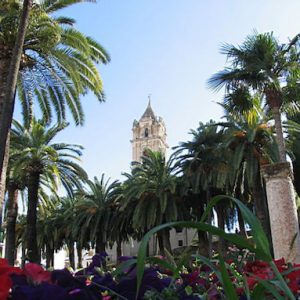 La Iglesia de la Asunción y Ángeles en Cabra en la provincia de Córdoba