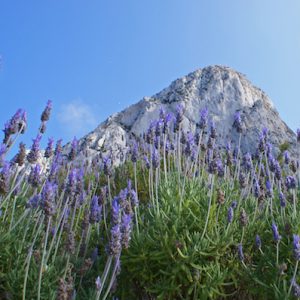 El Peñón de Ifach en Calpe