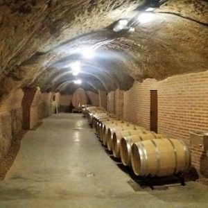 Las bodegas subterráneas en Rueda