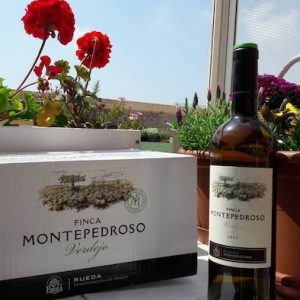 Visita bodega en Rueda