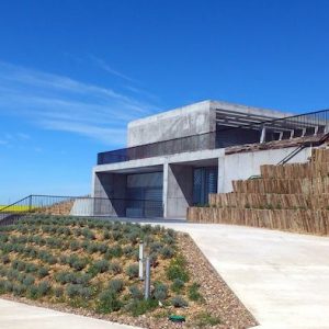Visita bodega en Rueda