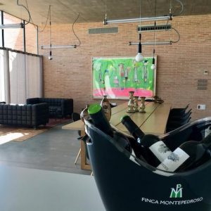 Visita bodega en Rueda