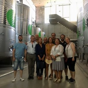 Visita bodega en Rueda