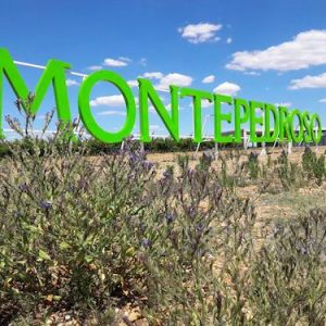 Visita bodega en Rueda