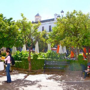 La Plaza de los Naranjos en Marbella