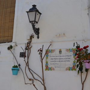 Las calles típicas de Estepona