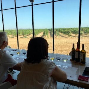 Visita bodega en Rueda