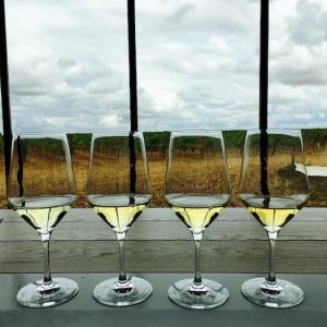 Visita bodega en Rueda