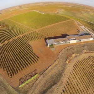 Visita bodega en Rueda
