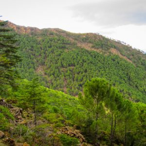 Sierra Bermeja en Estepona