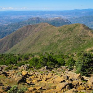 Sierra Bermeja en Estepona