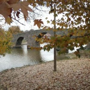 Puente románico en Navaluenga