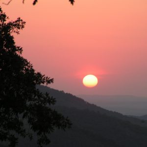 La sierra de Tentudía