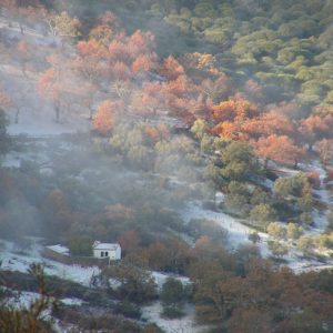 La sierra de Tentudía