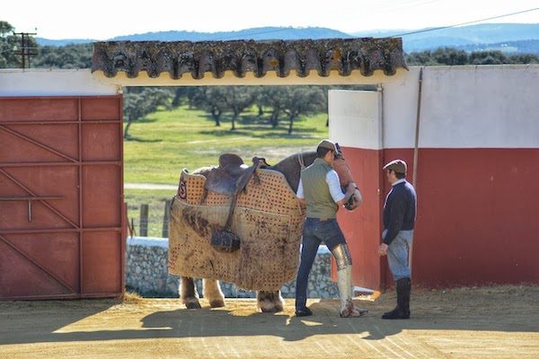 Entrada a la Finca la Capitana en la provincia de Sevilla