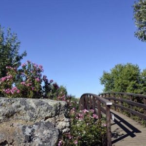 Finca  Doña Blanca en Don Benito
