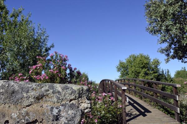 Puente en la finca doña Blanca en Don Benito en Badajoz