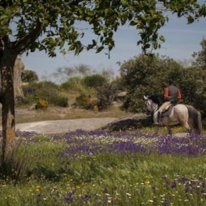 Finca  Doña Blanca en Don Benito