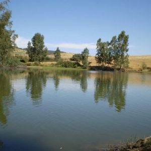 El Charco del Toro en Burguillos del Cerro