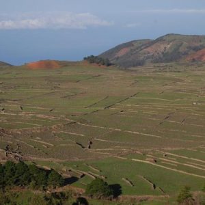 La meseta de Nisdafe