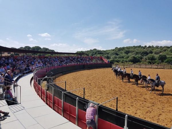 Tentadero en la visita a la ganadería brava de Torrestrella en Jerez de la Frontera en Ca