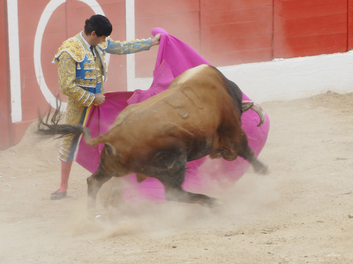 Torero toreando en una plaza de toros