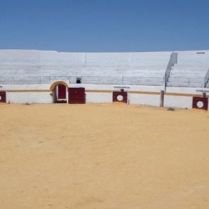 Visita guiada a Fuentes de León en Badajoz