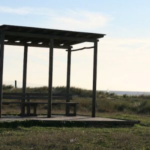 El paseo del Colesterol en Tarifa