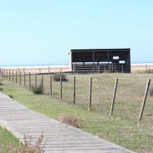 El paseo del Colesterol en Tarifa