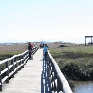 El paseo del Colesterol en Tarifa